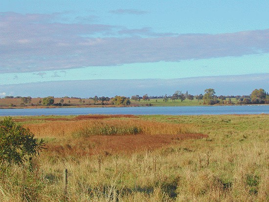 typische Landschaft bei Fhrdorf am Breitling