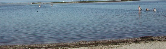 Am Ufer von Gollwitz, der Strand ist nicht so schön, im Hintergrund Langenwerder