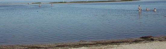 Am Ufer von Gollwitz, der Strand ist nicht so schn, im Hintergrund Langenwerder