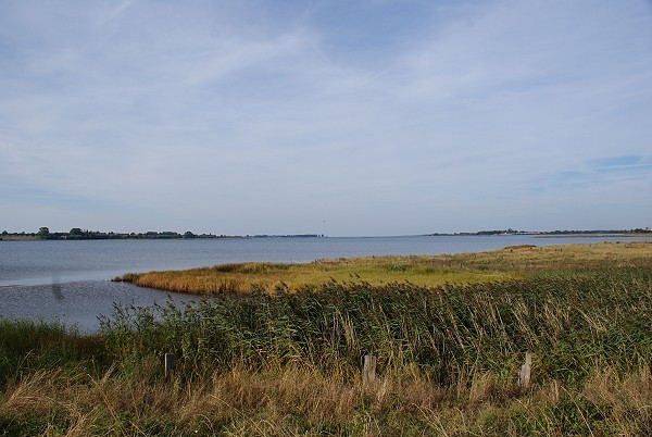 Landschaft bei Brandenhusen